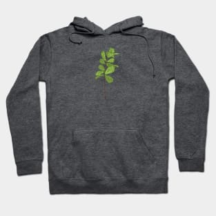 Fiddle Fig Botanical Hoodie